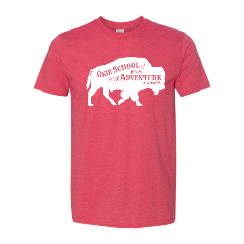 Heather Gildan Soft Style Tee (Men's Sizing)